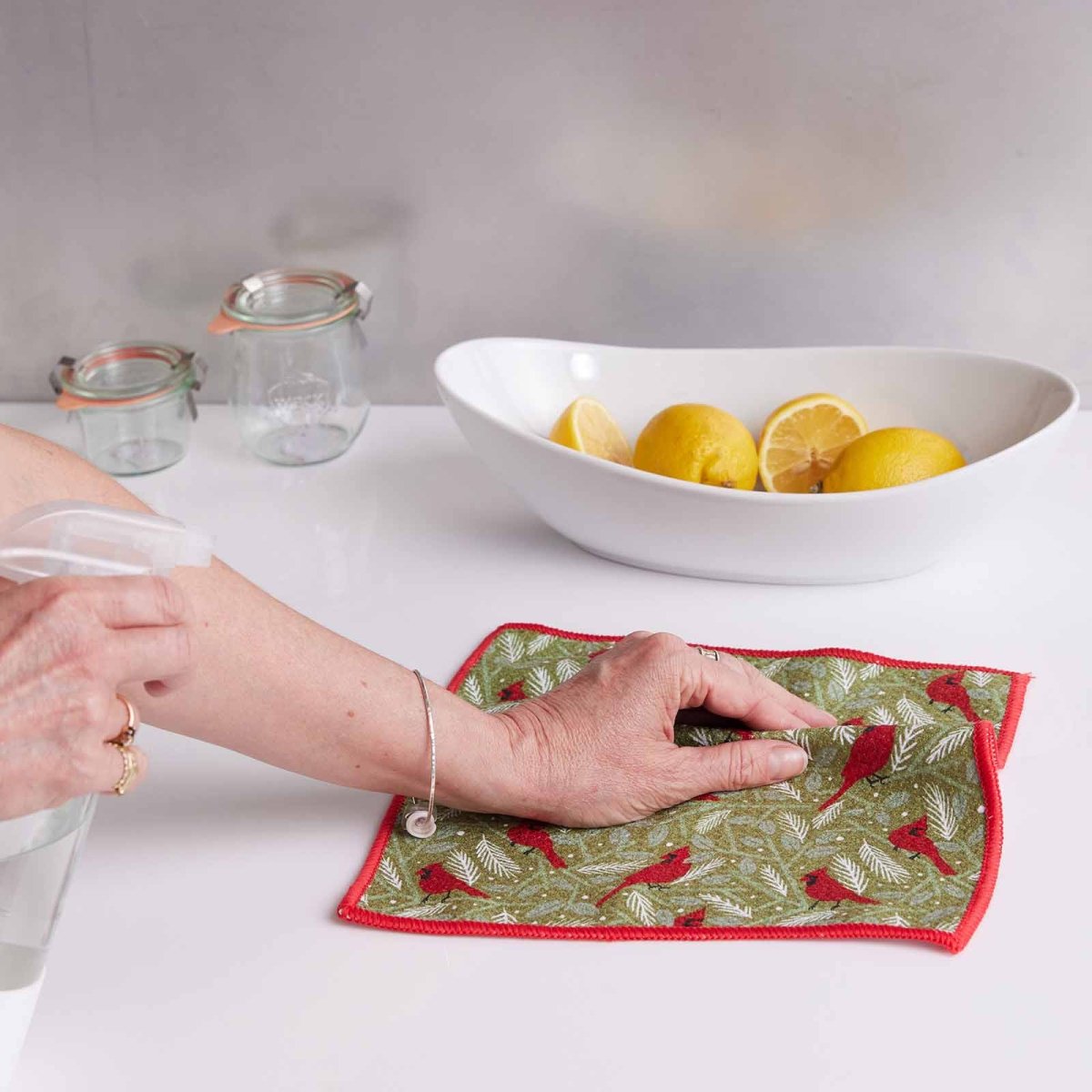 Holiday Cheer Dish Cloth Set of 3 Reusable Dish Cloth - rockflowerpaper