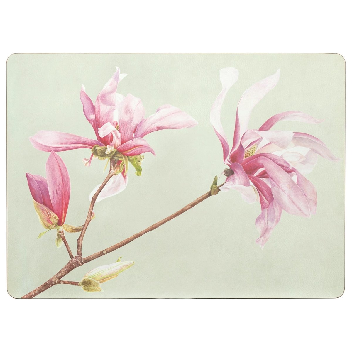 Magnolia Placemat Set Of 4 Placemat - rockflowerpaper