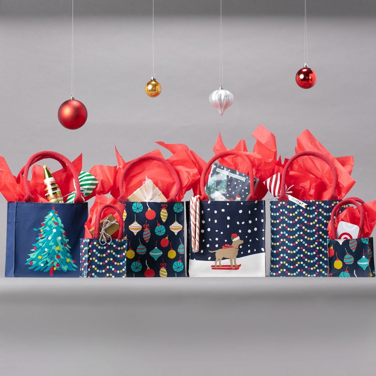 Ski Lab Reusable Itsy Bitsy Gift Bag Gift Bag - rockflowerpaper