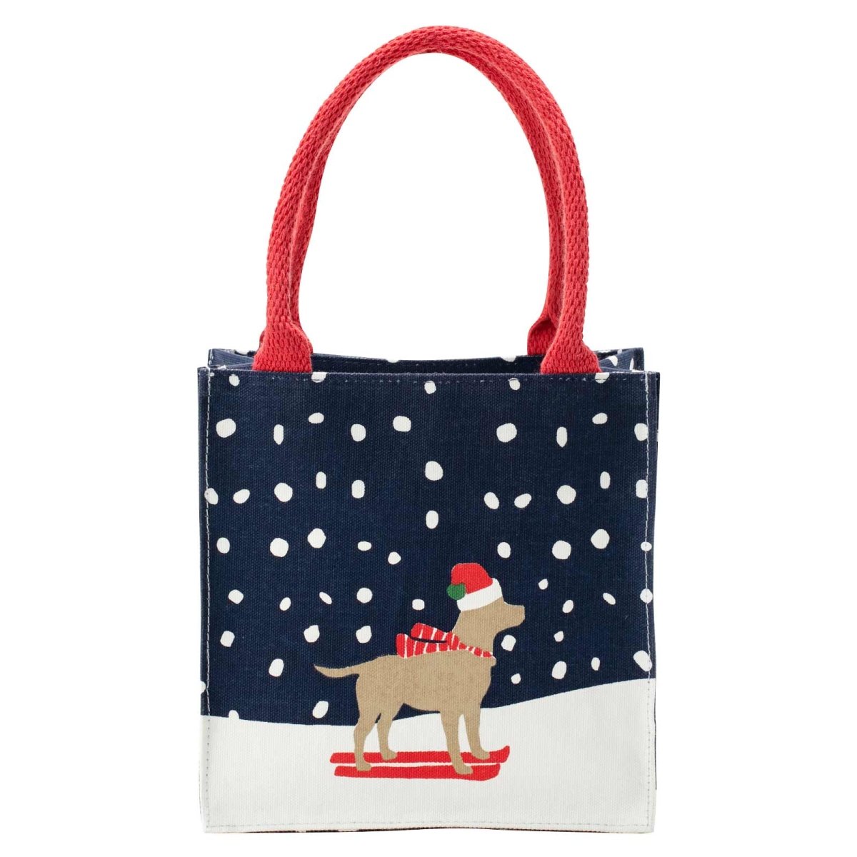 Ski Lab Reusable Itsy Bitsy Gift Bag Gift Bag - rockflowerpaper