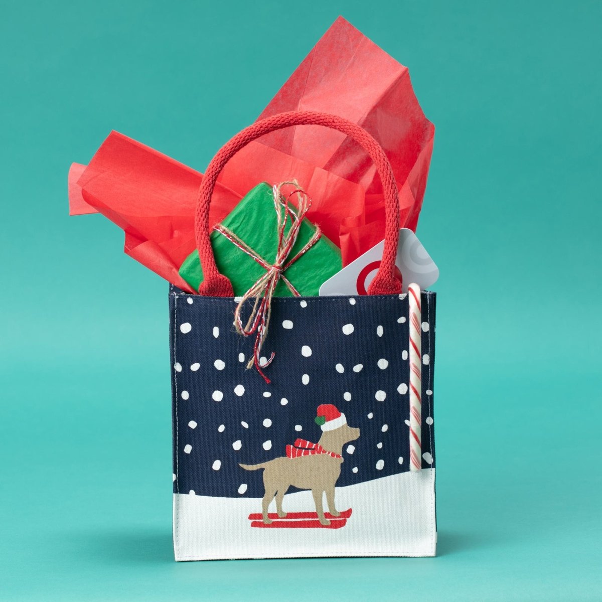Ski Lab Reusable Itsy Bitsy Gift Bag Gift Bag - rockflowerpaper