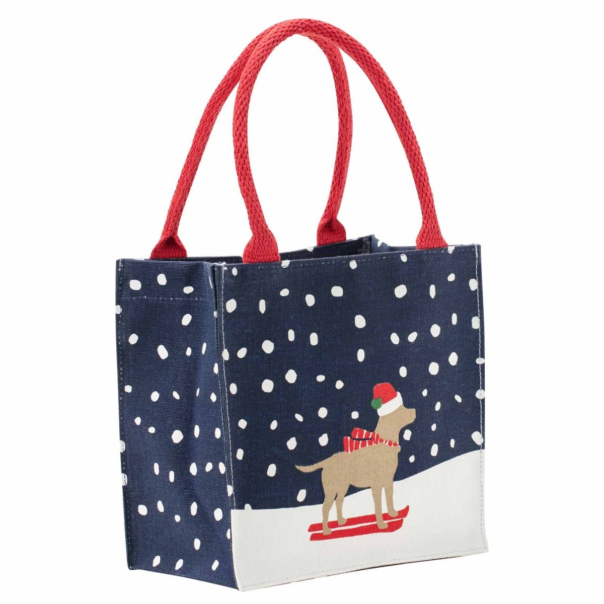 Ski Lab Reusable Itsy Bitsy Gift Bag Gift Bag - rockflowerpaper