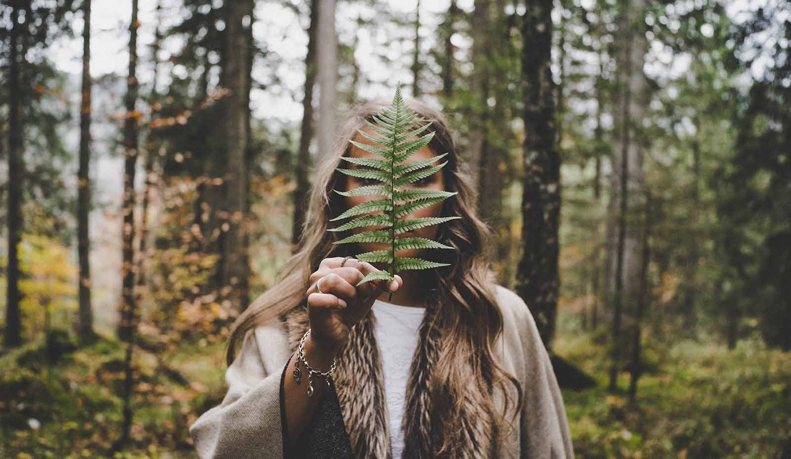 4 Ways to Incorporate Nature into Your Daily Life