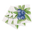 Blueberry Bunch Paper Cocktail Napkins (Pack of 20) Paper Cocktail Napkin - rockflowerpaper