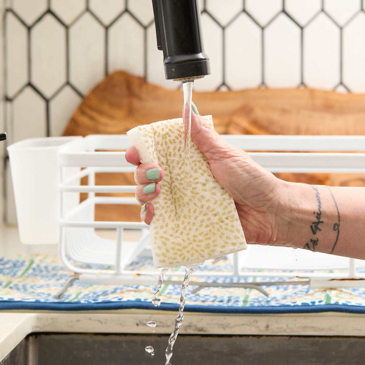 Egret &amp; Reed Pop-Up Sponge Set 3