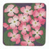 Pink Dogwood Square Coaster - Set of 4 Coaster - rockflowerpaper