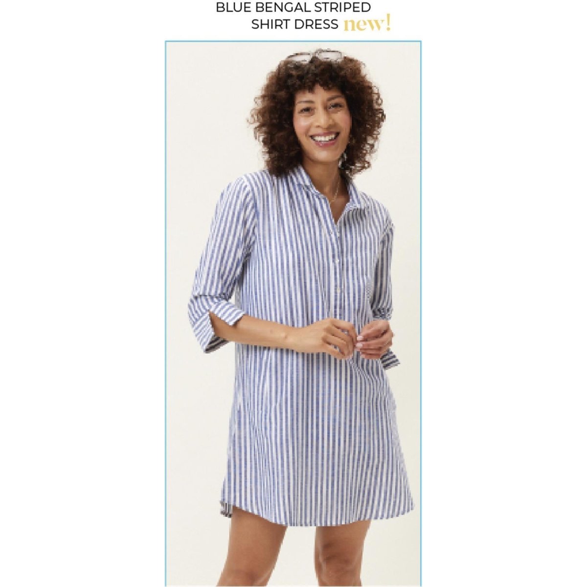 Blue Bengal Striped Shirt Dress Dress - rockflowerpaper