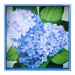 Blue Hydrangea Square Lacquer Serving Tray