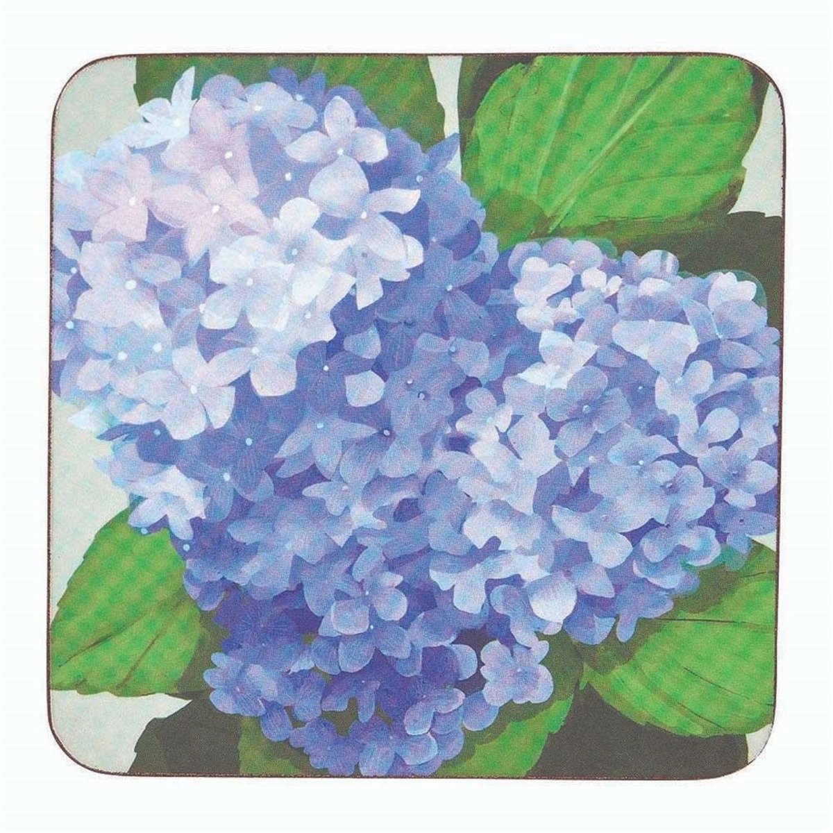 Blue Hydrangea Square Coaster - Set of 4 Coaster - rockflowerpaper