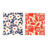 Buttercup Blooms blu Eco Sponge Cloths (Set of 2) Eco Cloth - rockflowerpaper