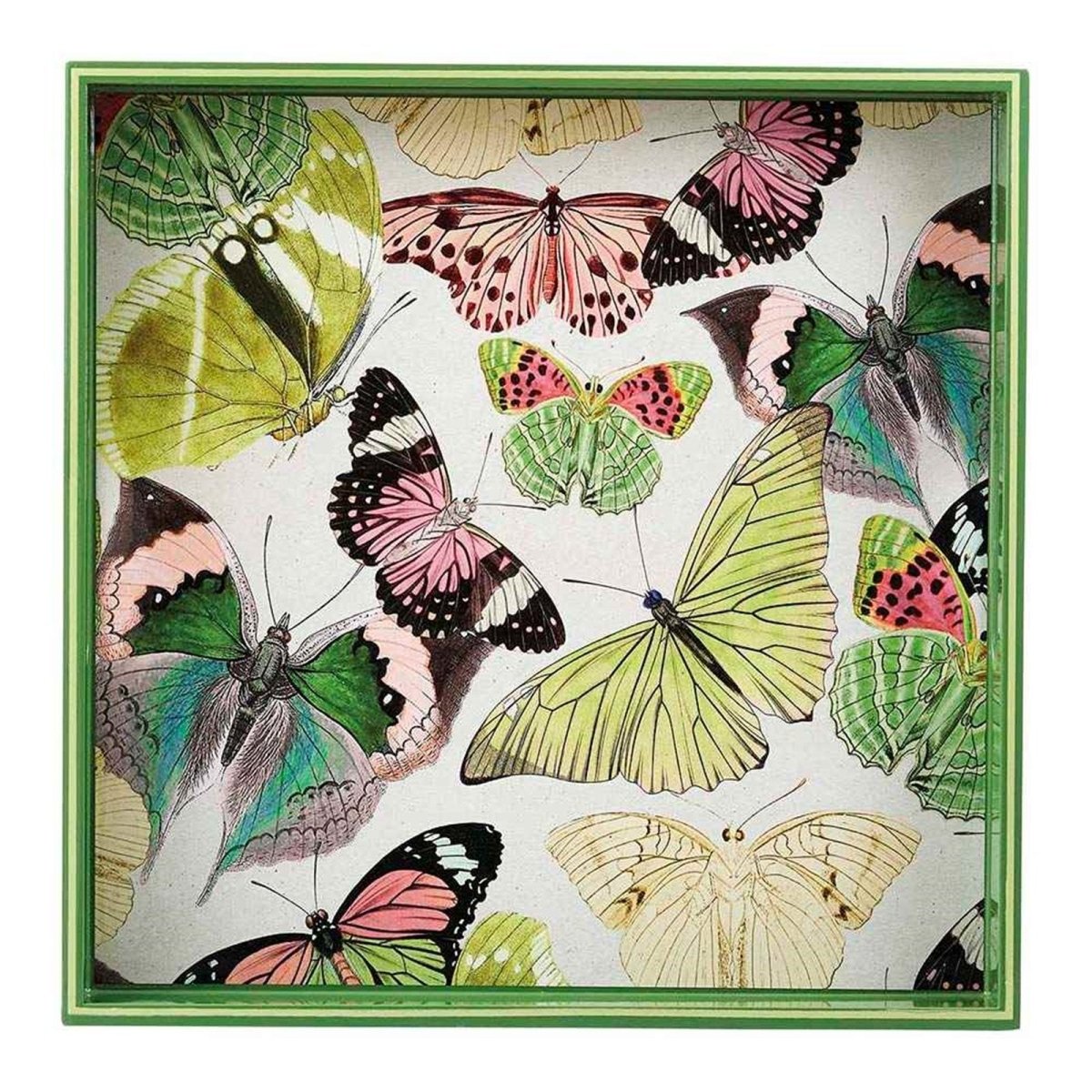 Butterflies 15 Inch Square Tray Tray - rockflowerpaper