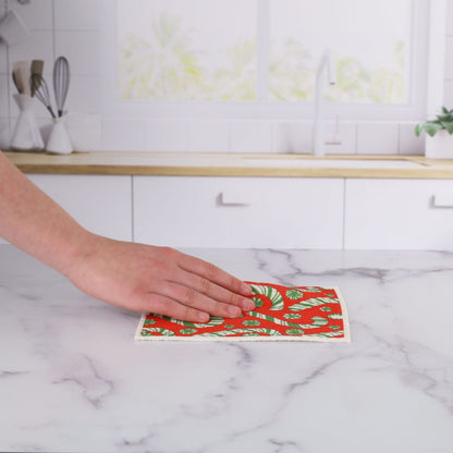 Candy Cane Joy blu Eco Sponge Cloths (Set of 2) Eco Cloth - Rockflowerpaper