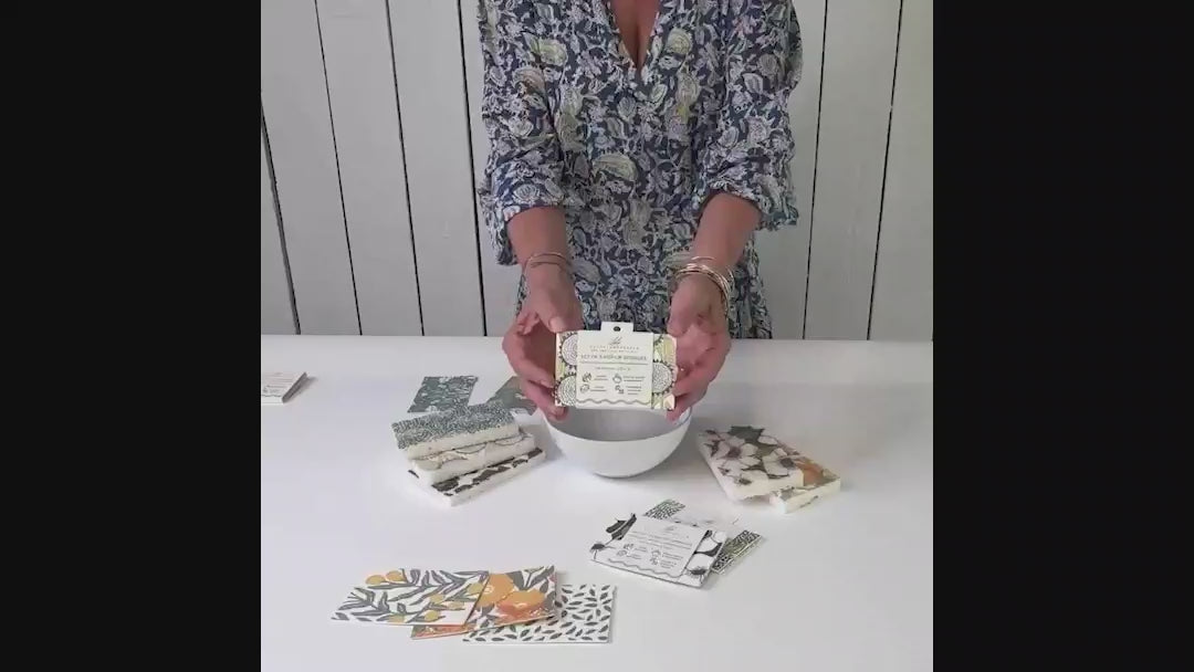 Wynn Pop-Up Sponge Set 3