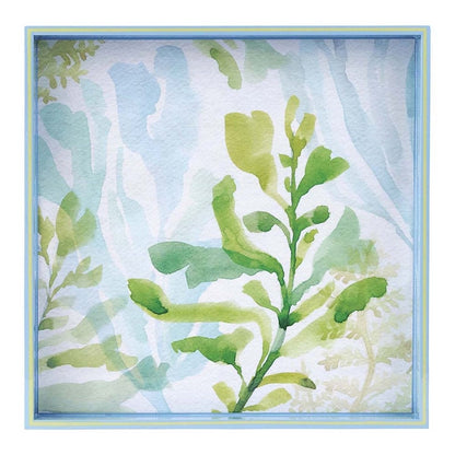 Sea Kelp 15 Inch Square Tray Tray - rockflowerpaper