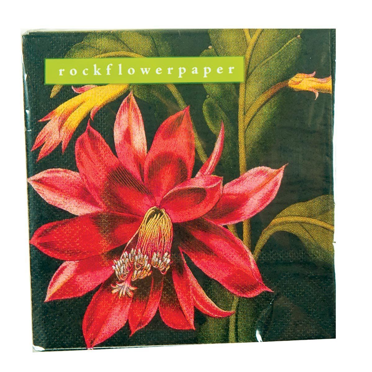Orchid Cactus Paper Cocktail Napkins (Pack of 20) Paper Cocktail Napkin - rockflowerpaper