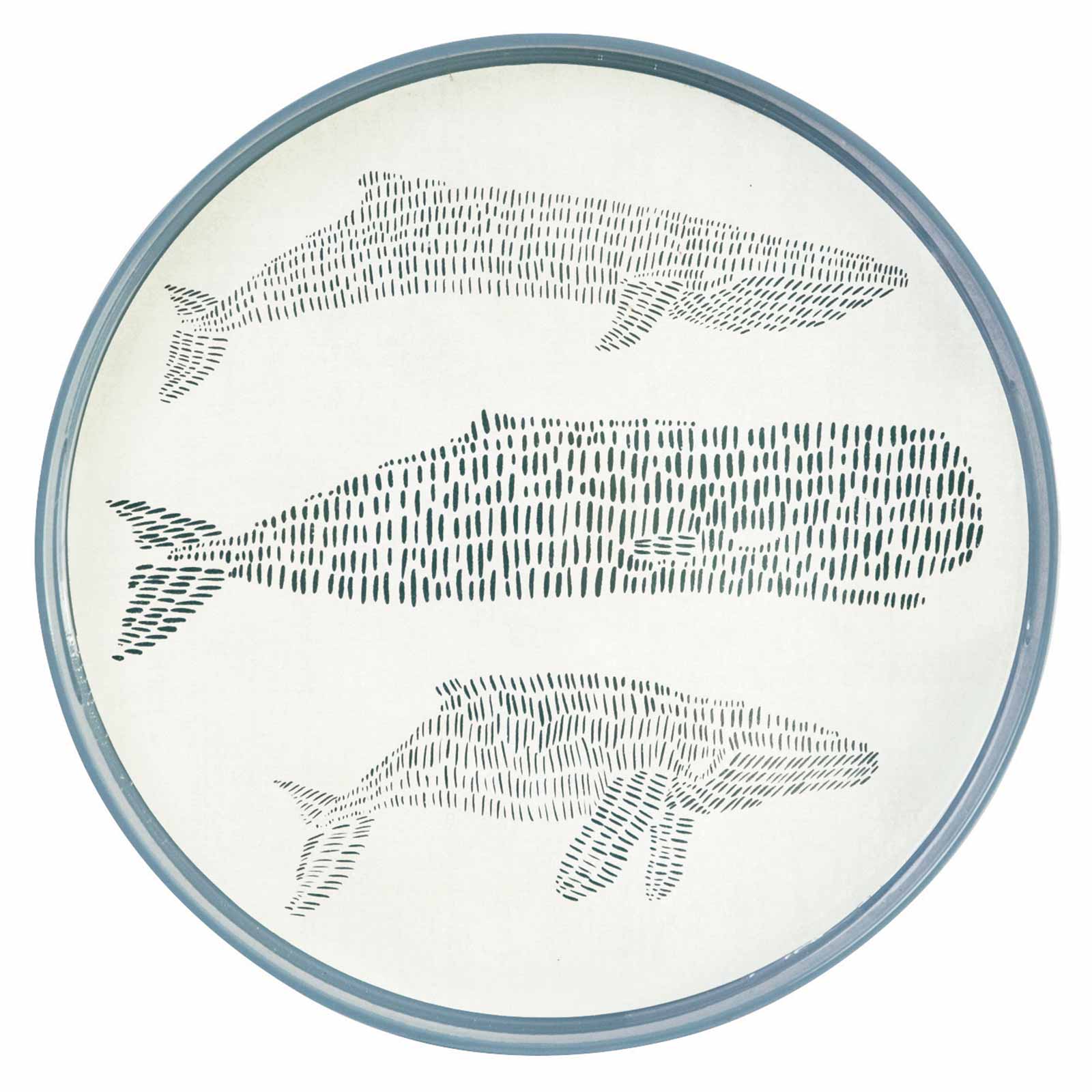 Cadet Blue Whales 15 Inch Round Tray Tray - rockflowerpaper