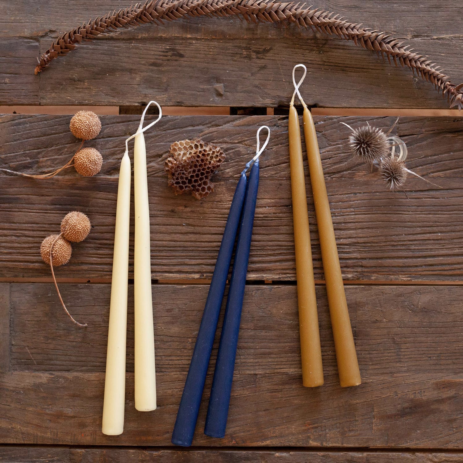 Natural Beeswax 12 inch Taper Candles (one pair) Candle - rockflowerpaper