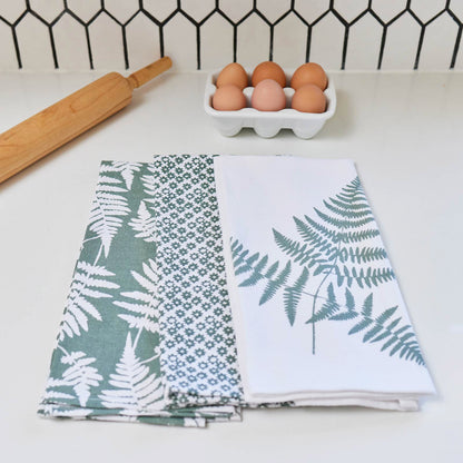 Ferns Green Cotton Kitchen Towels Set Of 3 Kitchen Towel - rockflowerpaper