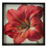 Amaryllis Red 15 inch Square Lacquer Art Serving Tray Tray - rockflowerpaper