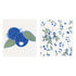 Blueberries Eco - Friendly blu Sponge Cloth - Set of 2 Eco Cloth - rockflowerpaper