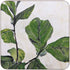 Stylish & Practical Fiddle Leaf Fig Art Coasters - Set of 4 Coaster - rockflowerpaper