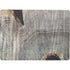 Tree Slab Placemat Set 4 Placemat - rockflowerpaper